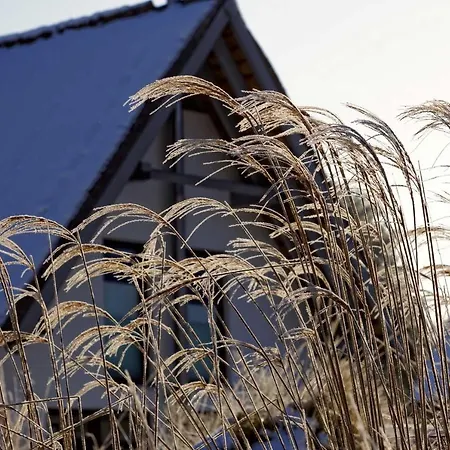 Lotsenstieg 2 Kajuete 01 * Karlshagen