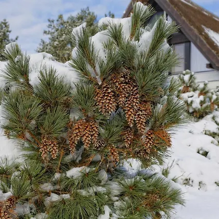 Apartament Lotsenstieg 2 Kajuete 01 *